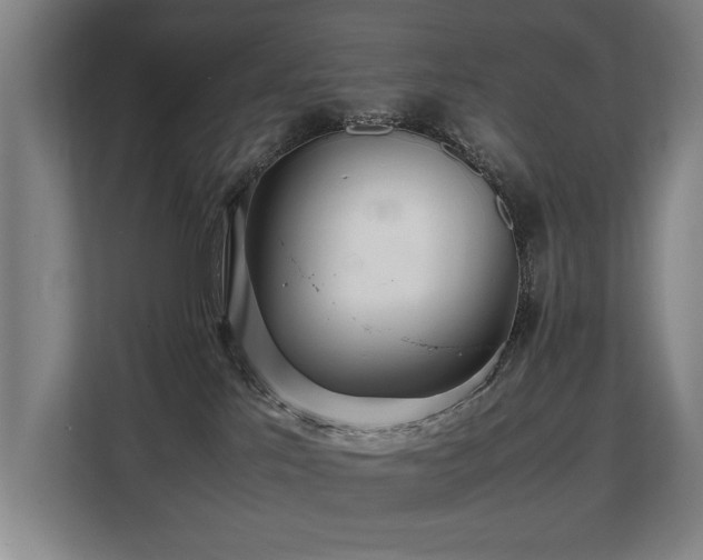 X0000108480041200904031438