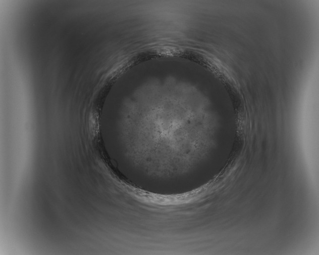 X0000108480043200904031438