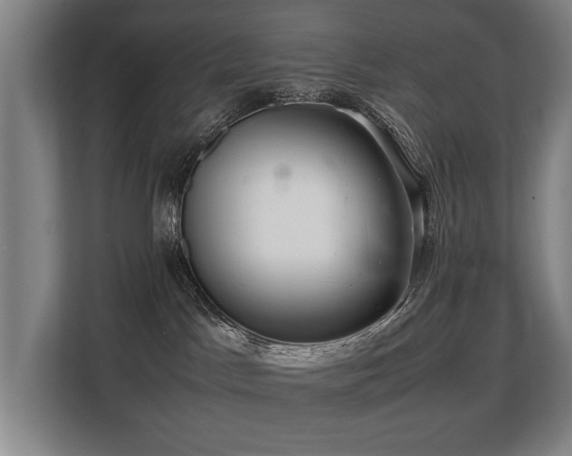 X0000108480045200904031438