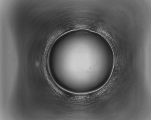 X0000108480049200904031438