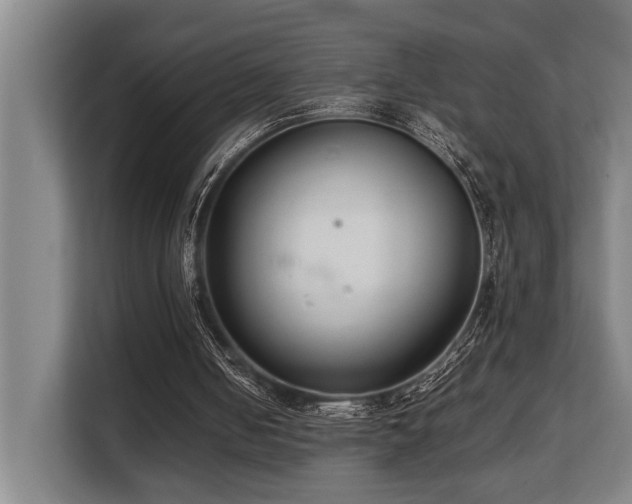 X0000108480050200904031438