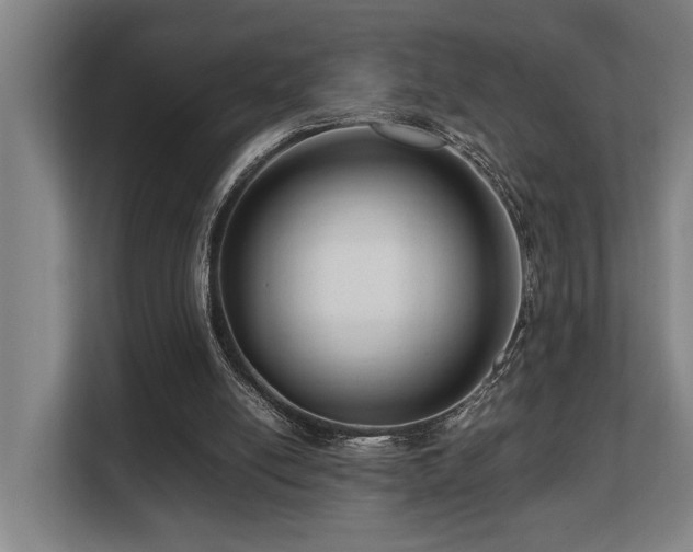 X0000108480054200904031438