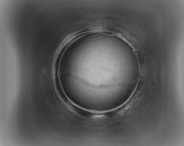 X0000108480055200904031438