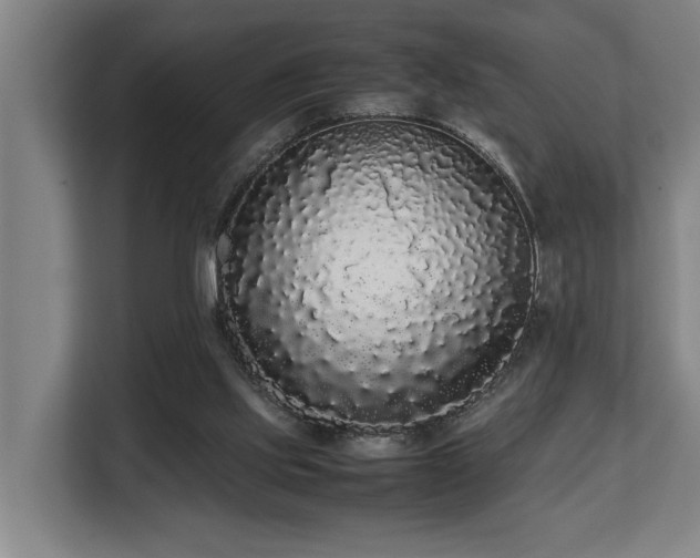 X0000108480061200904031438