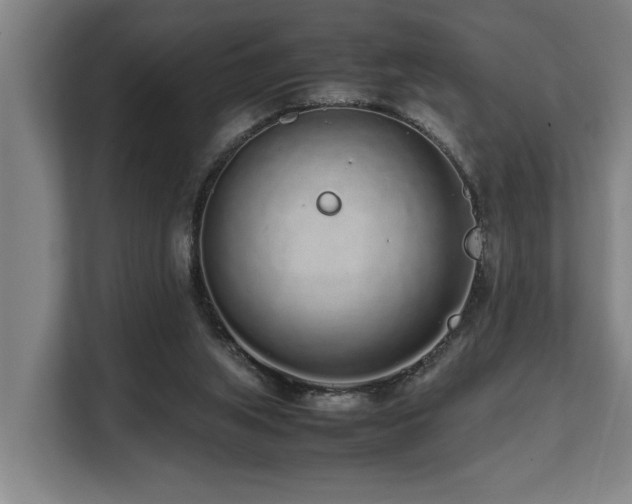 X0000108480063200904031438