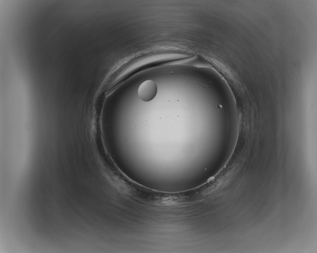 X0000108480064200904031438
