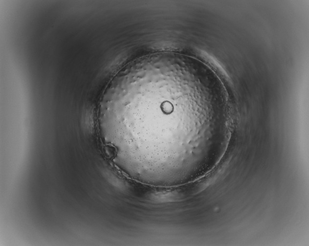 X0000108480065200904031438
