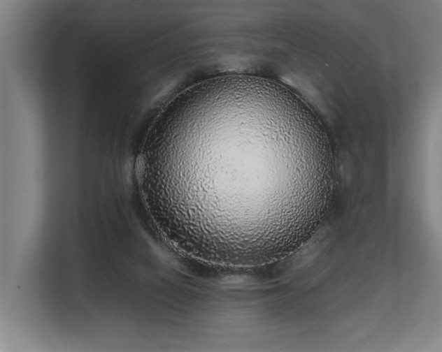 X0000108480066200904031438