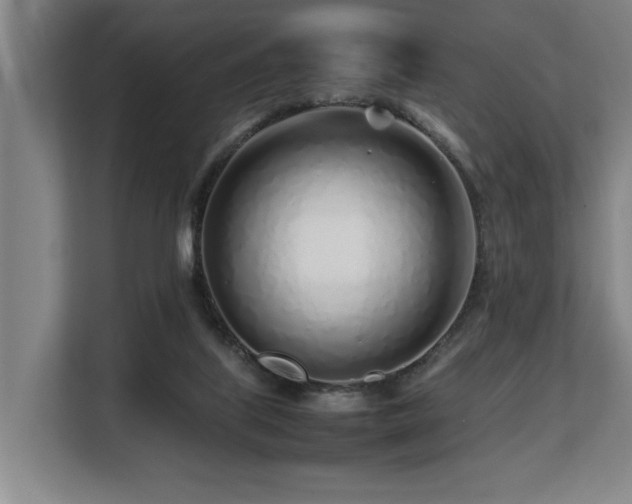 X0000108480067200904031438