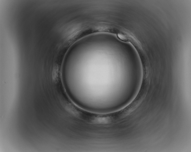 X0000108480073200904031438