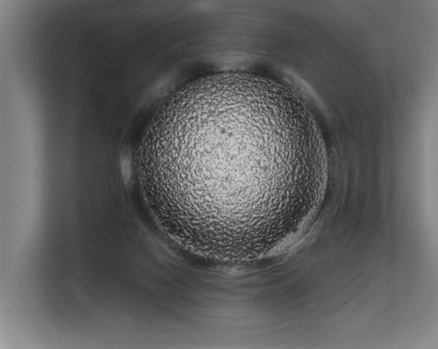 X0000108480074200904031438