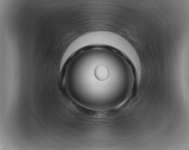 X0000108480080200904031438