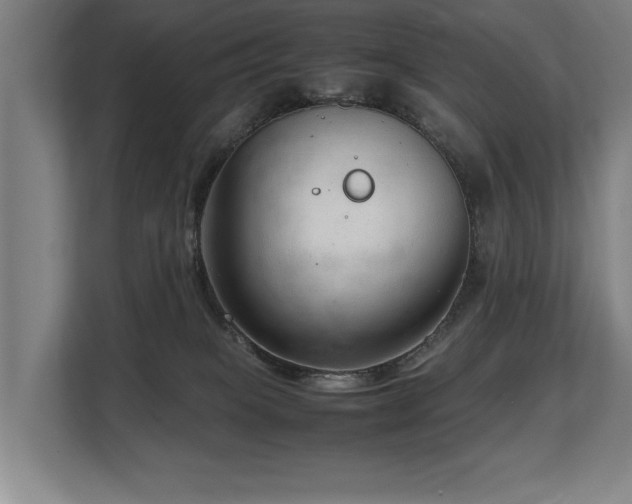X0000108480085200904031438