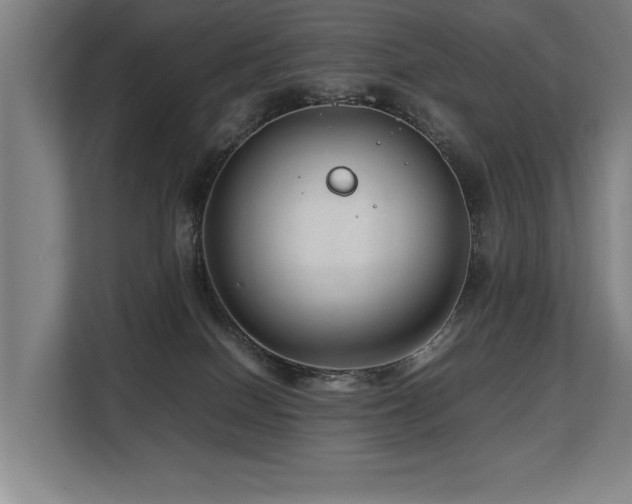 X0000108480086200904031438
