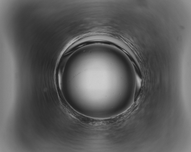 X0000108480100200904031438
