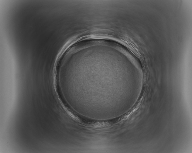 X0000108480101200904031438