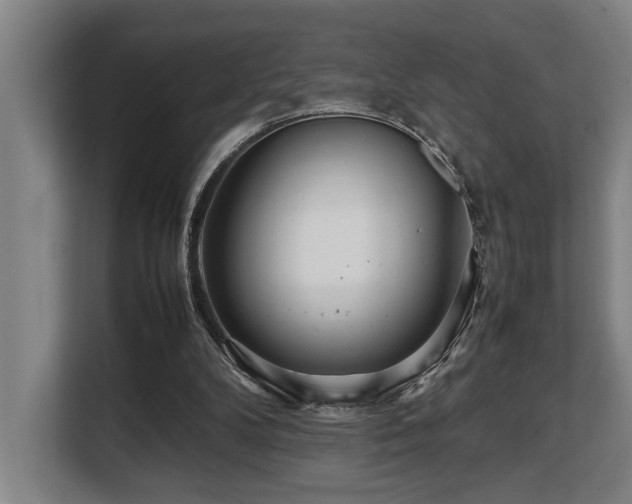 X0000108480104200904031438