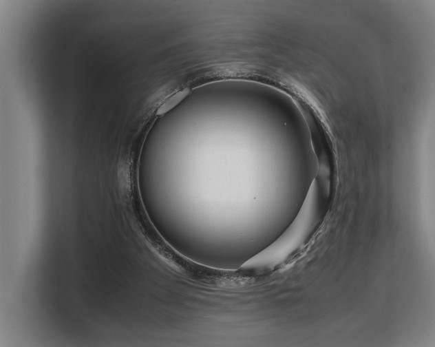 X0000108480105200904031438