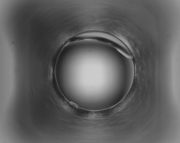 X0000108480109200904031437