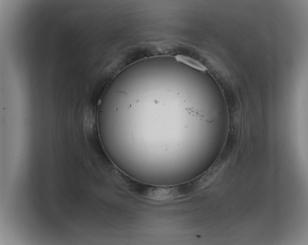 X0000108480129200904031437