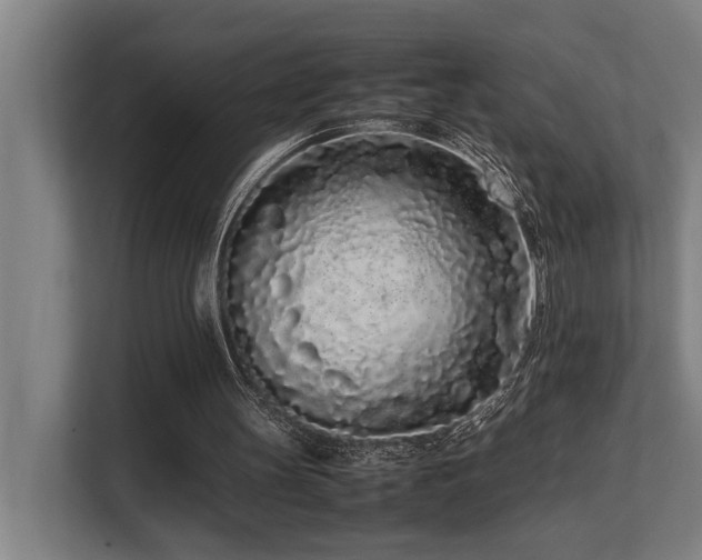 X0000108480147200904031436