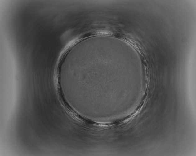 X0000108480149200904031436