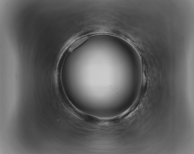 X0000108480152200904031436