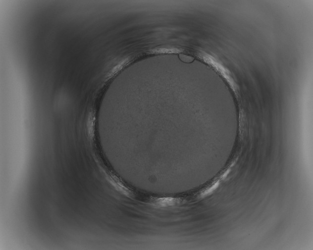 X0000108480153200904031436