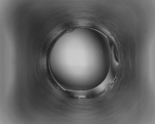 X0000108480154200904031437