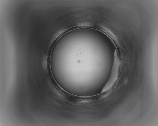 X0000108480155200904031437