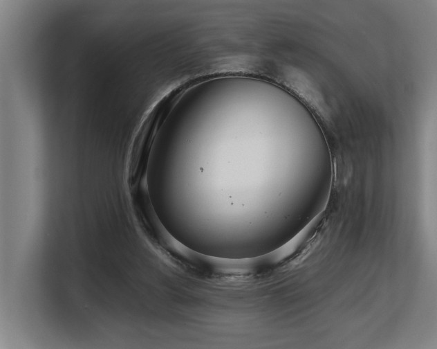 X0000108480156200904031437