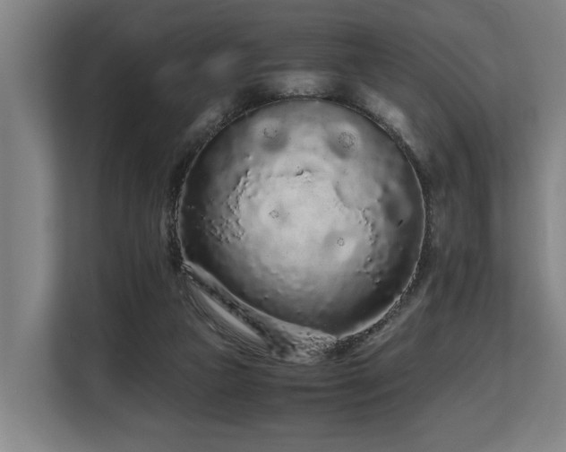 X0000108480161200904031437