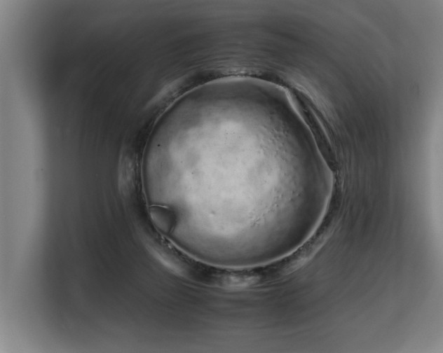 X0000108480165200904031437