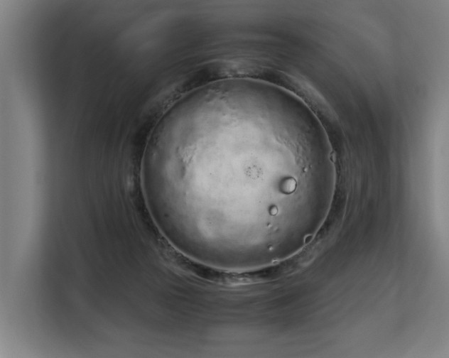X0000108480169200904031437