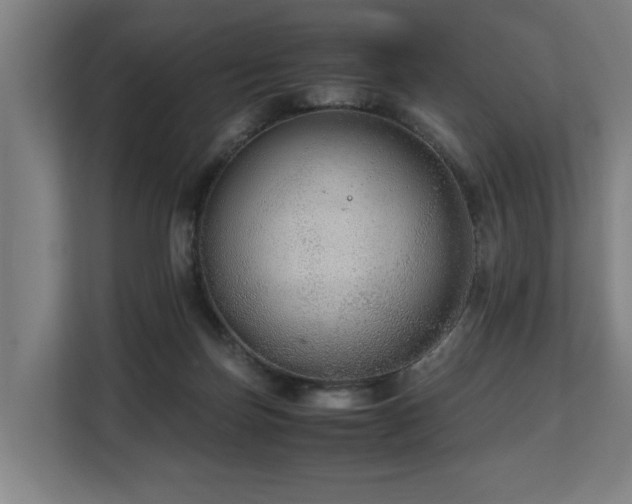 X0000108480171200904031437