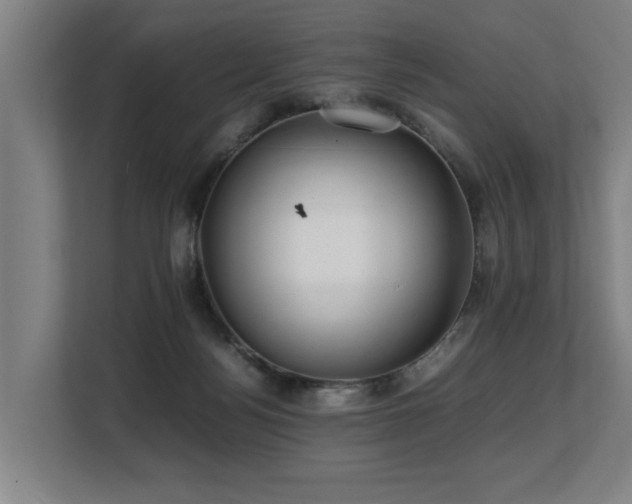 X0000108480172200904031437