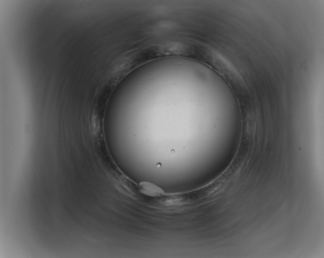 X0000108480173200904031437