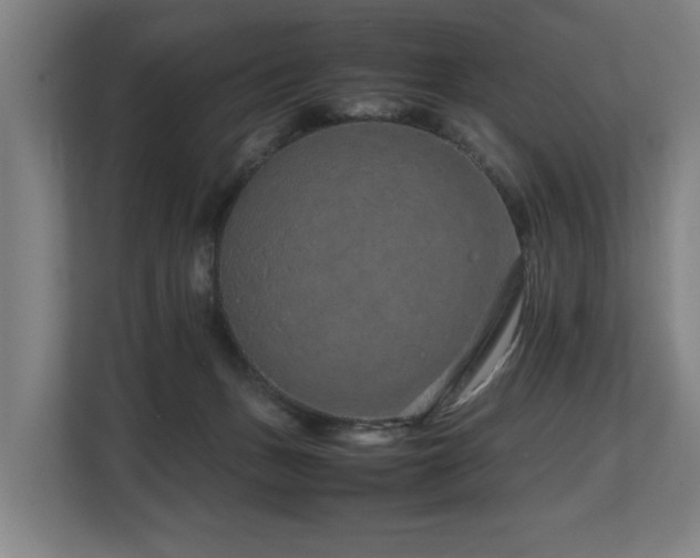 X0000108480175200904031437