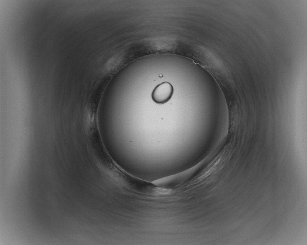 X0000108480176200904031437