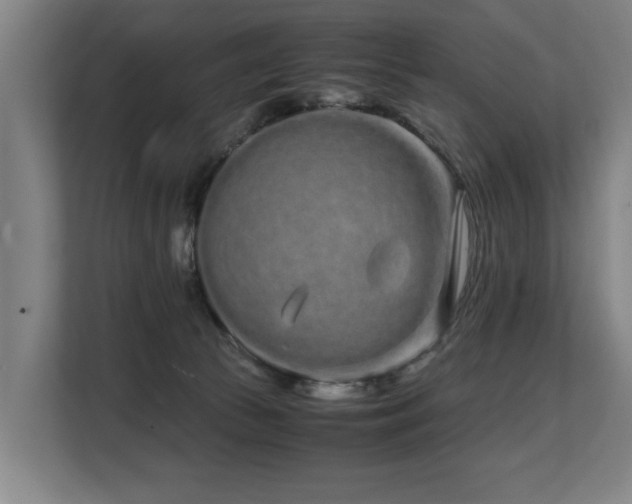 X0000108480177200904031437
