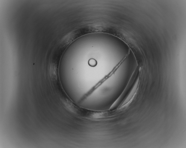 X0000108480178200904031437