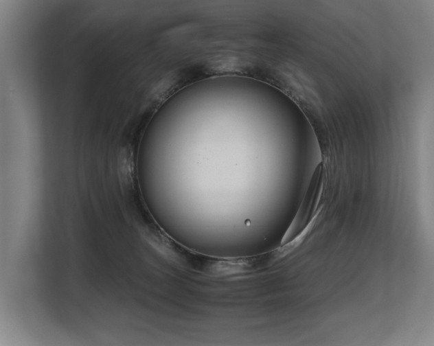 X0000108480179200904031437