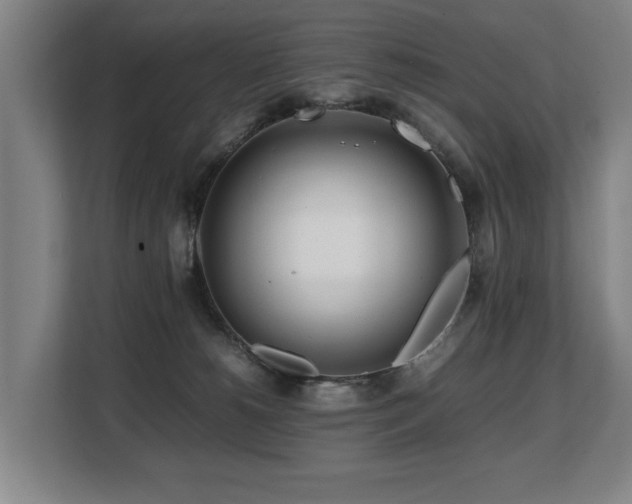 X0000108480180200904031437