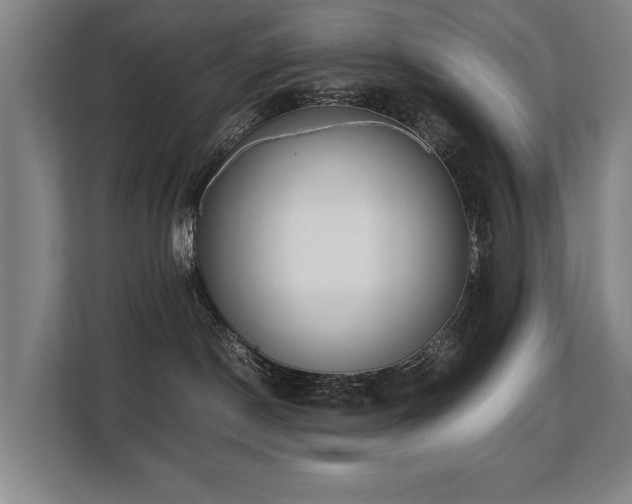 X0000108480190200904031437