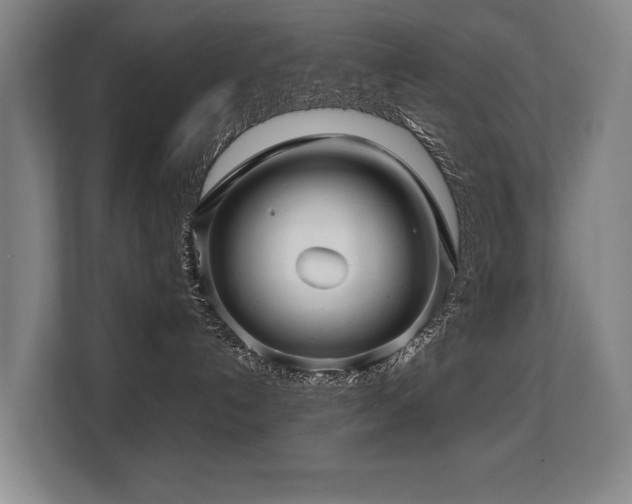X0000108480192200904031437