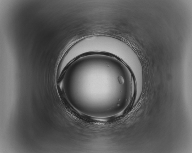 X0000108480195200904031436