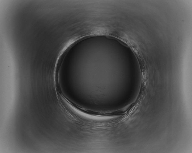 X0000108480196200904031436