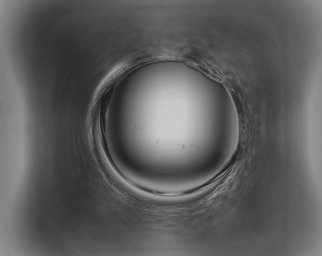X0000108480197200904031436