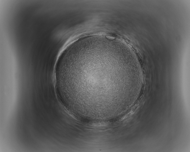 X0000108480198200904031436