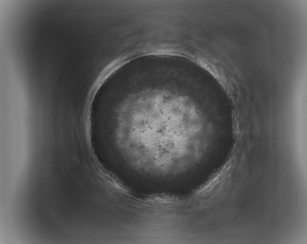 X0000108480199200904031436